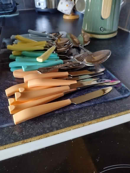 Photo of free Cutlery (Rowner PO13) #1