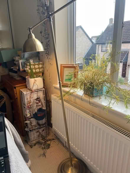 Photo of free Brass lamp (Colchester CO4) #1