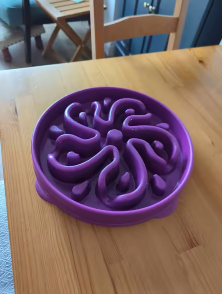 Photo of free Slow feeder dog bowl (Sheffield S6) #1