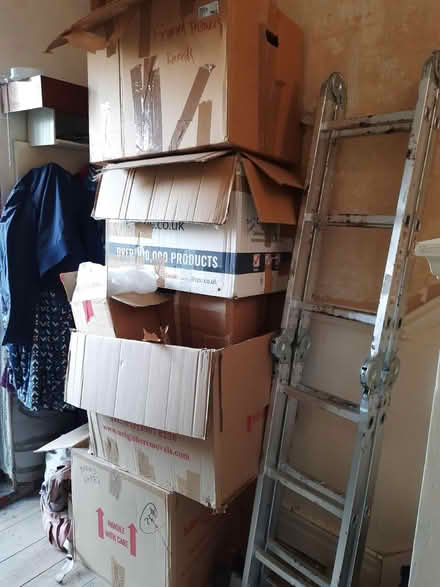 Photo of free Moving boxes and packing material (Cullercoats NE30) #1