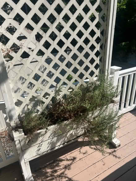 Photo of free Deck Planters (Shore Drive) #1