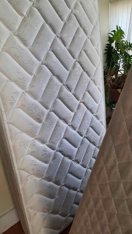 Photo of free Twin Mattress and Box Spring (South End) #1