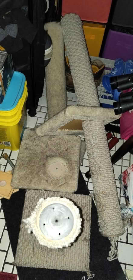 Photo of free Ceiling height cat tree (Westmont) #2
