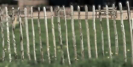 Photo of Chestnut fencing (Llangarron HR9) #1