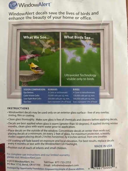Photo of free Wild Bird Hitting Window Alert (199 Southern Heights Blvd SR) #2