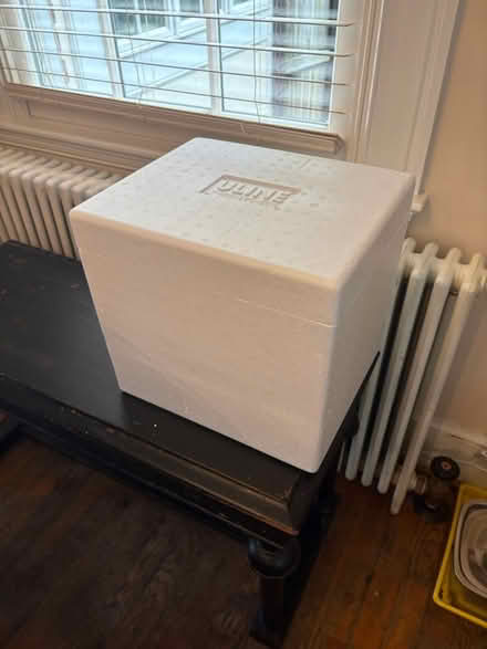 Photo of free Styrofoam cooler with ice packs (Clarendon area) #1