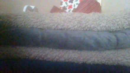 Photo of free 4 x pet blankets (BA2) #1