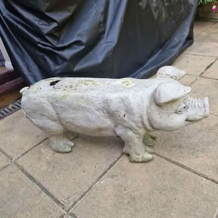 Photo of free Heavy resin pig seat or ornament (Clive Vale TN35) #2