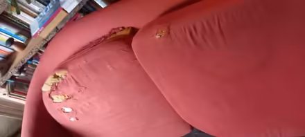 Photo of free 2 seater sofa (Hambridge TA10) #3