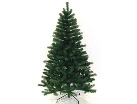Photo of Christmas trees (CT11) #1