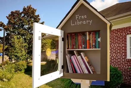 Photo of little free library for yard (congress heights) #1