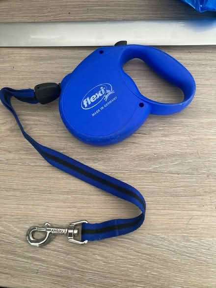 Photo of free Blue extendable dog lead (Beaconside ST16) #1