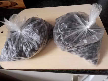 Photo of free Frozen sloes (Rugby CV22 7 HL) #1