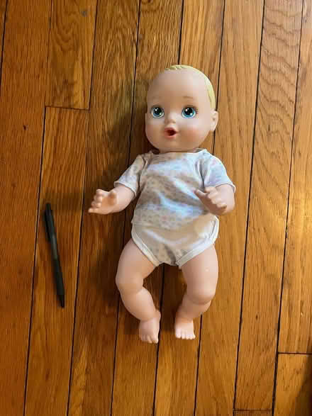 Photo of free Stuffies and doll (Arlington/West Medford line) #2
