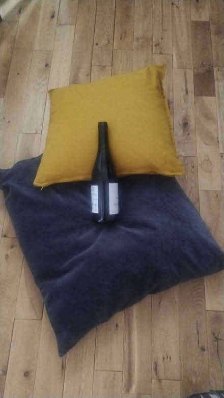 Photo of free 2 cushions (Bathwick) #1