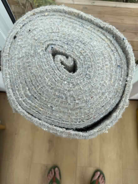 Photo of free Carpet underlay (Torquay TQ2) #1