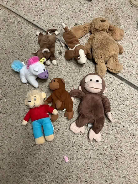 Photo of free Stuffies and doll (Arlington/West Medford line) #1