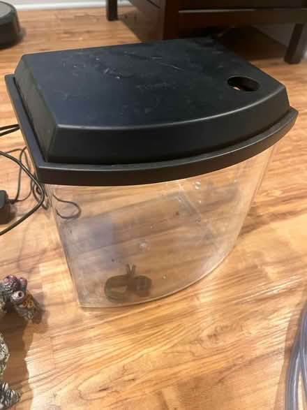 Photo of free Fish tank and supplies (Haggerty and 7 mile) #1