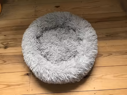 Photo of free Cat bed (Exeter, St Thomas) #1