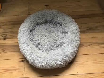 Photo of free Cat bed (Exeter, St Thomas) #1