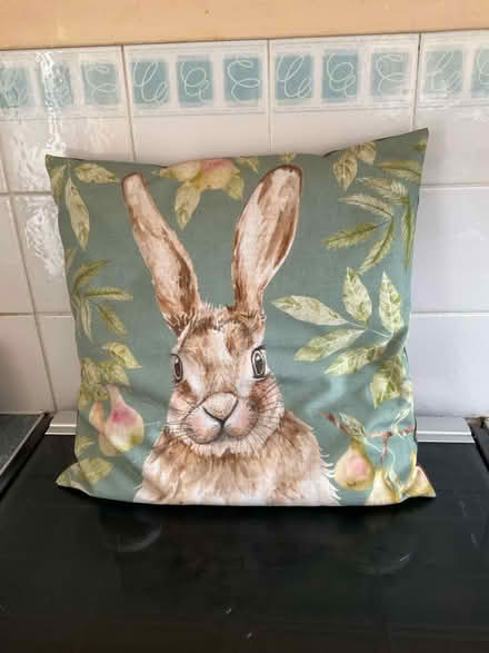 Photo of free Cushions (wantage Oxfordshire OX12) #2