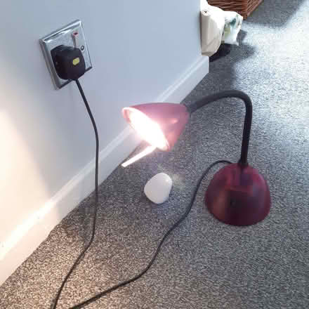 Photo of free Small pink lamp (Woolton L25) #1