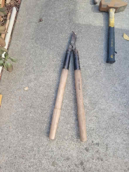 Photo of free Tools (Cupertino) #1