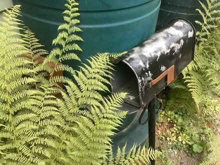 Photo of free Metal Mailbox (Northwest Seattle, phinney) #3