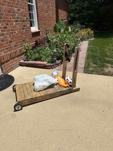 Photo of free Backyard Slingshot (Regency Park area) #2