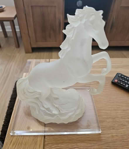 Photo of free Acrylic Horse (Woodley RG5) #1