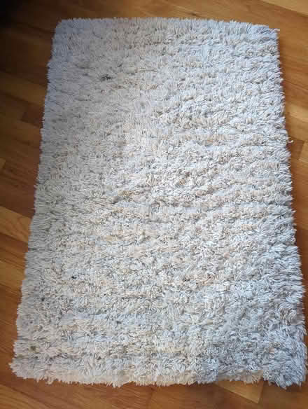 Photo of free White Rug (Duren Ave) #1