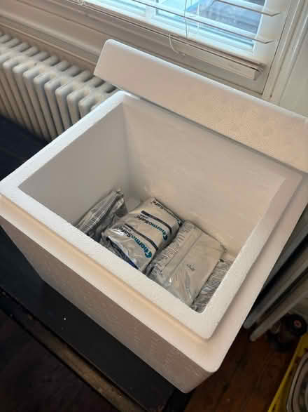 Photo of free Styrofoam cooler with ice packs (Clarendon area) #2