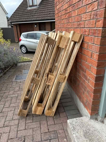 Photo of free 3 large wooden pallets (Kilkenny city) #2