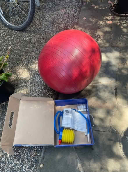 Photo of free Exercise ball (Rowland exit in Novato) #1