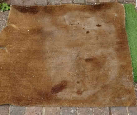Photo of free large coir mat about 1 m sq. (St Helens TN35) #1