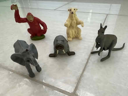 Photo of free Small zoo animals (Grayshott) #1
