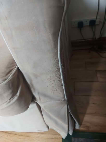 Photo of free Sofa Bed (Corby Hill CA4) #3