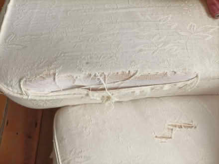 Photo of free 2 seater cream sofa (Harold's X) #2