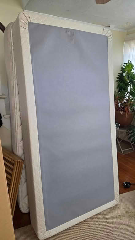 Photo of free Twin Mattress and Box Spring (South End) #2