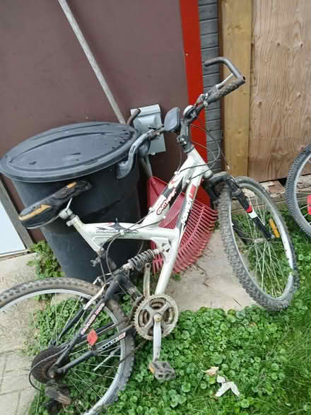 Photo of free bicycles (Waterloo/north) #1
