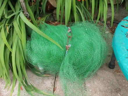 Photo of free Netting. Goes over plants (Kenn Road BS21) #1