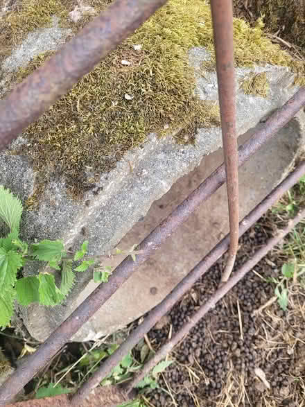 Photo of free 5 concrete pipes (Sandford, near Crediton) #1