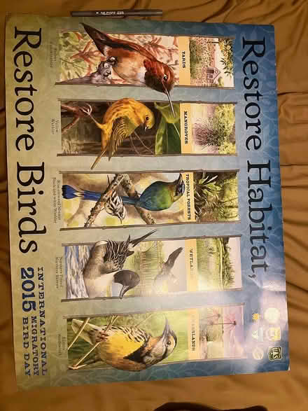 Photo of free Two nature posters (Arlington/West Medford line) #2