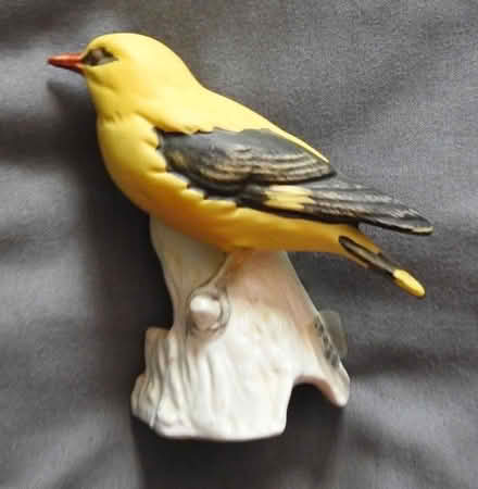 Photo of free Yellow bird (Mavis and Rathburn) #1