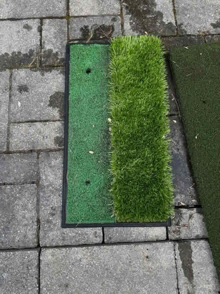Photo of free Putting greens (Fresh Pond - Belmont) #2