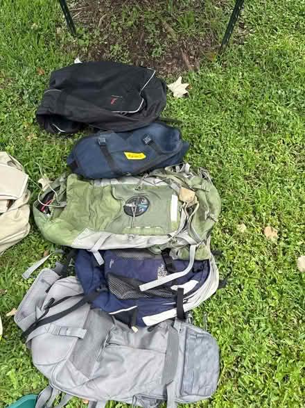 Photo of free Assorted backpacks (Heights by Heights Boulevard) #1