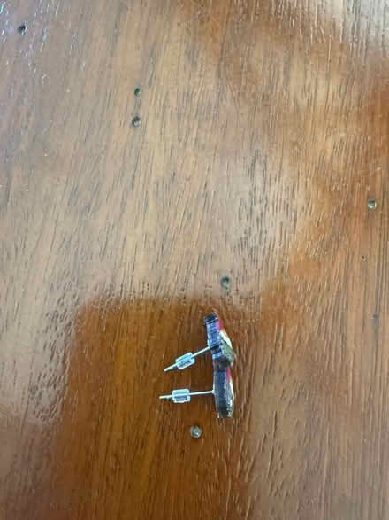 Photo of free Gnome earrings (95070) #2