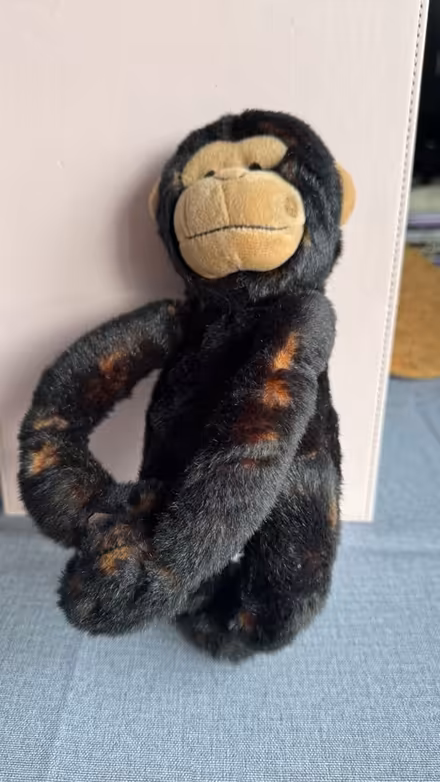 Photo of free Various small teddies (N1 Islington) #3