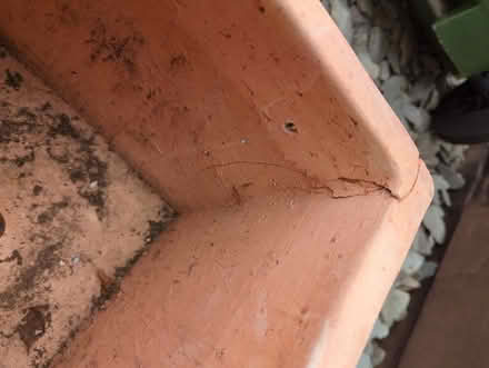 Photo of free Two terracotta planters (Combe Down) #2