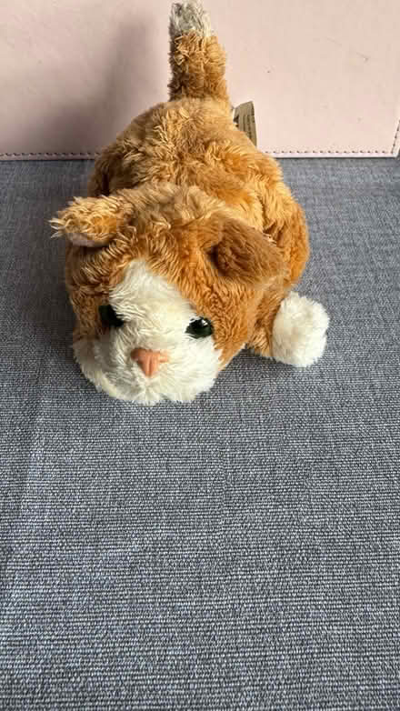 Photo of free Various small teddies (N1 Islington) #4